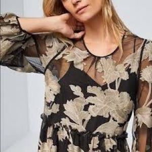 Rare Anthropologie Maeve Black and Cream Gold embroidered cocktail dress size M